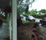 Storm Damage